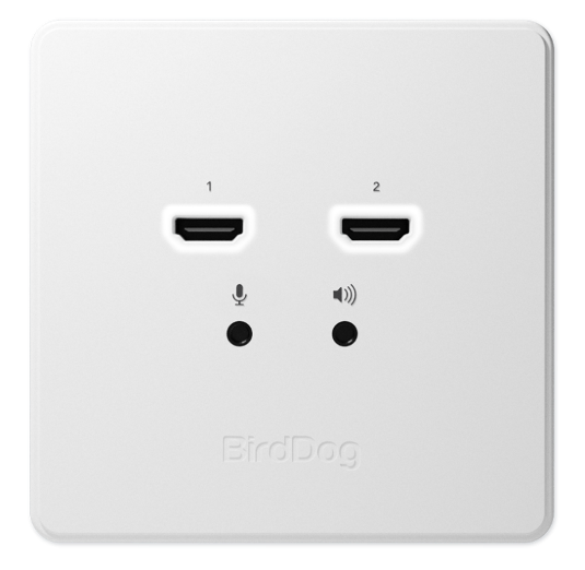 BirdDog NDI WALLPLATE